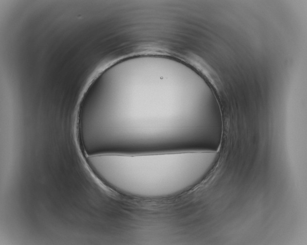 X0000112031379200908031013