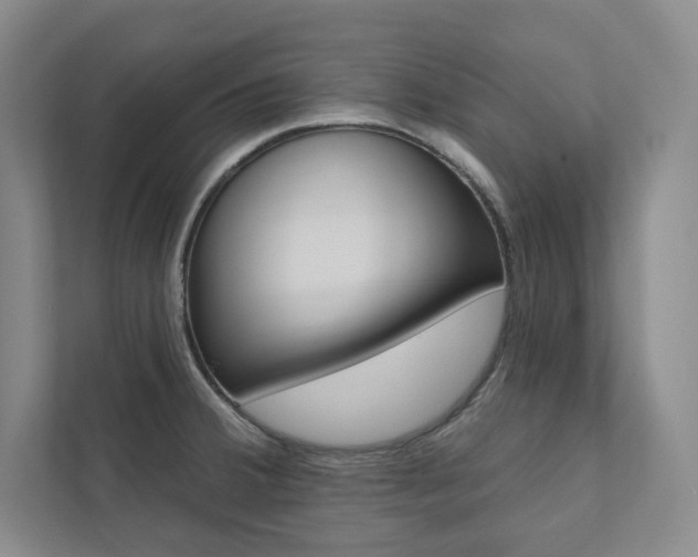 X0000112031380200908031013
