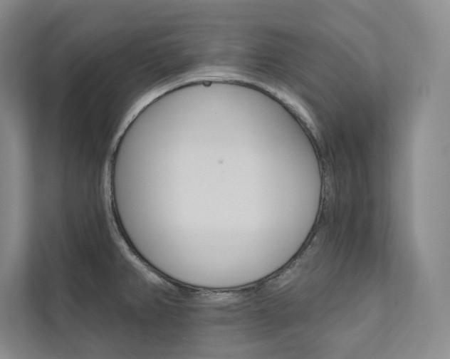 X0000112031382200908031013