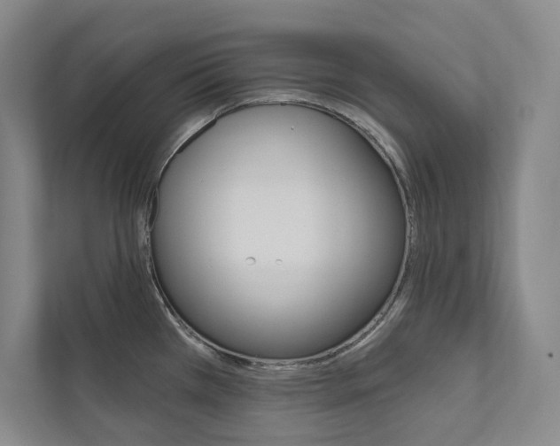 X0000112031385200908031013