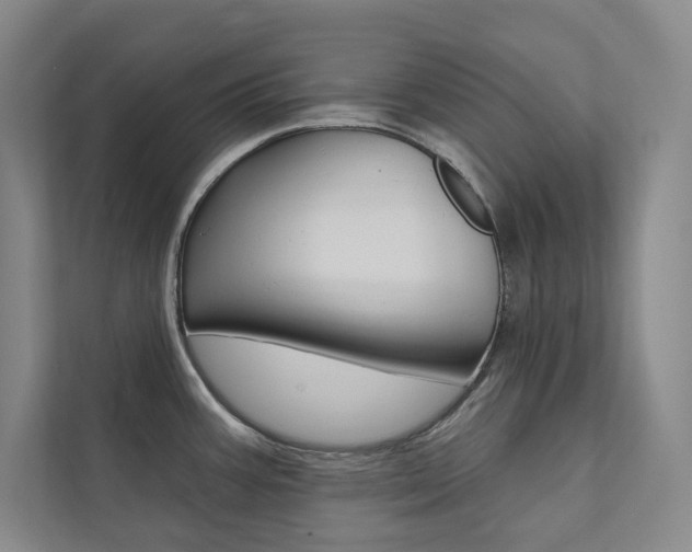 X0000112031387200908031013