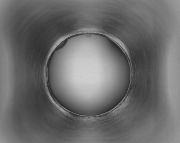 X0000112031389200908031013
