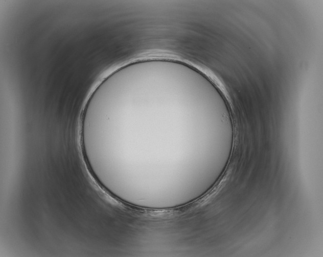 X0000112031390200908031013