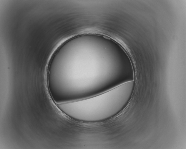 X0000112031392200908031013