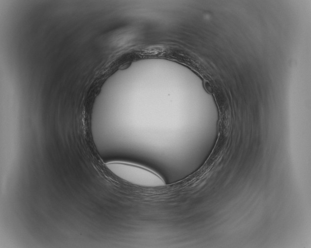 X0000112031394200908031013