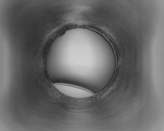 X0000112031398200908031013