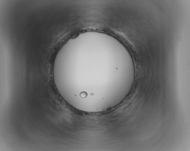 X0000112031399200908031013