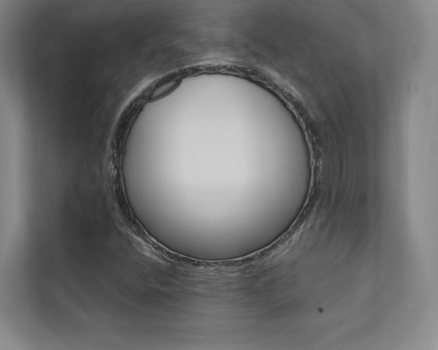 X0000112031400200908031013