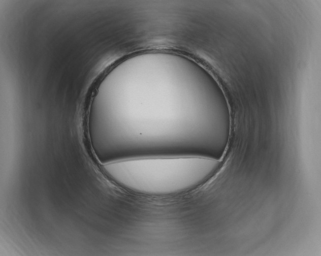 X0000112031410200908031013
