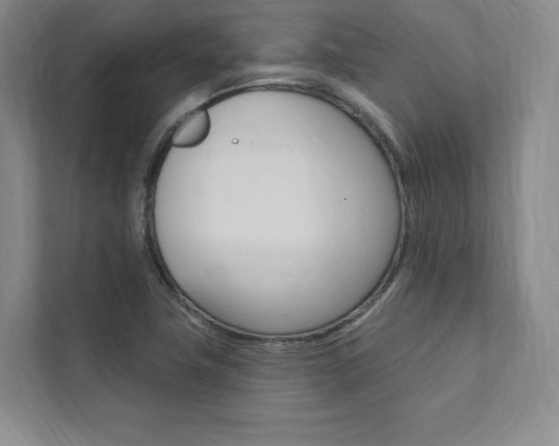 X0000112031411200908031013