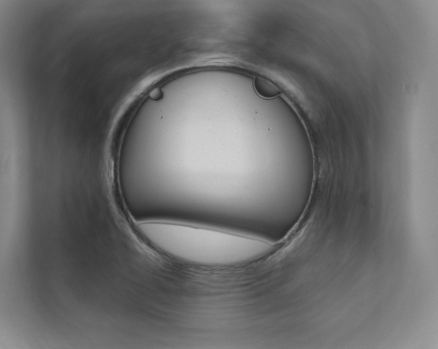 X0000112031414200908031013