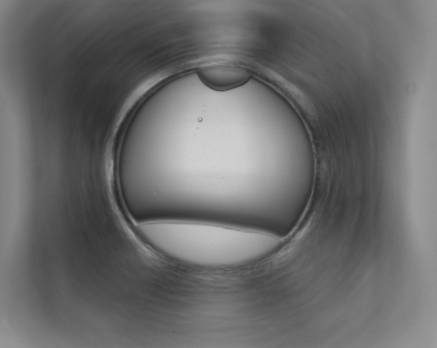 X0000112031418200908031013