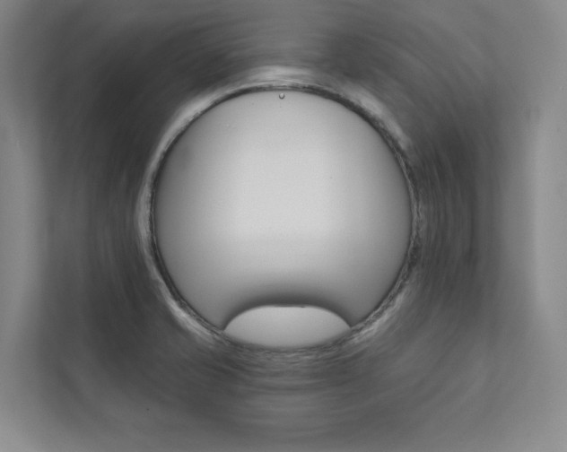 X0000112031421200908031013