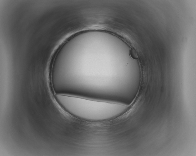 X0000112031422200908031013