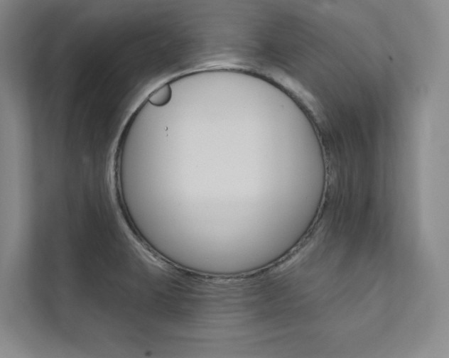 X0000112031423200908031013