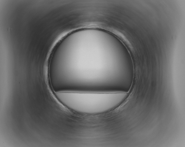 X0000112031424200908031013