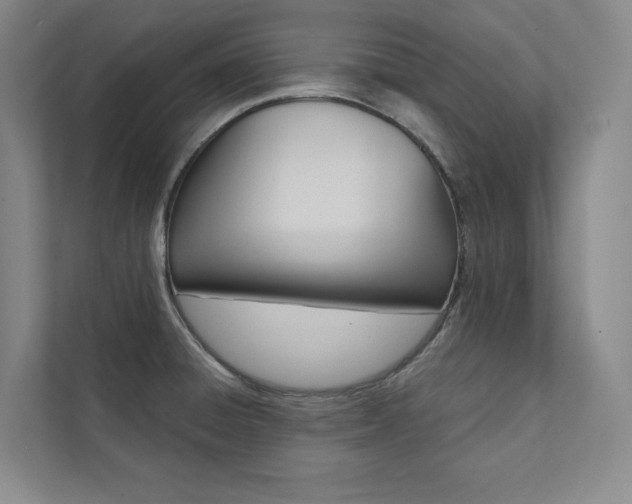 X0000112031428200908031013