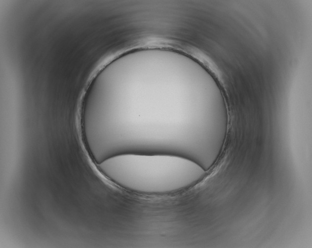 X0000112031429200908031013
