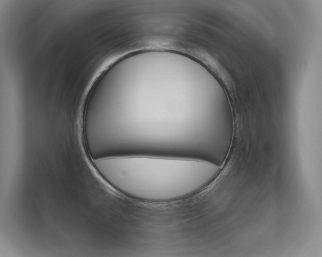 X0000112031432200908031013