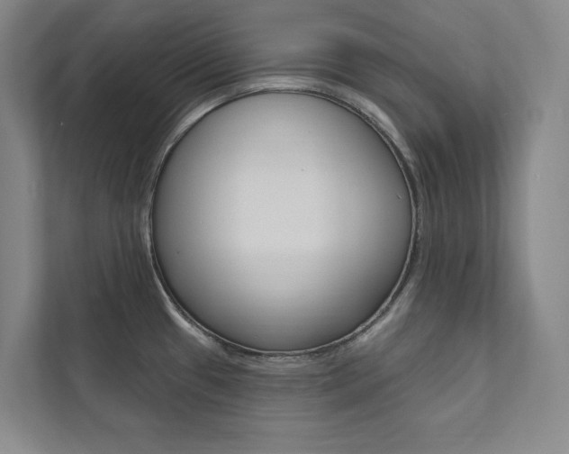 X0000112031433200908031013