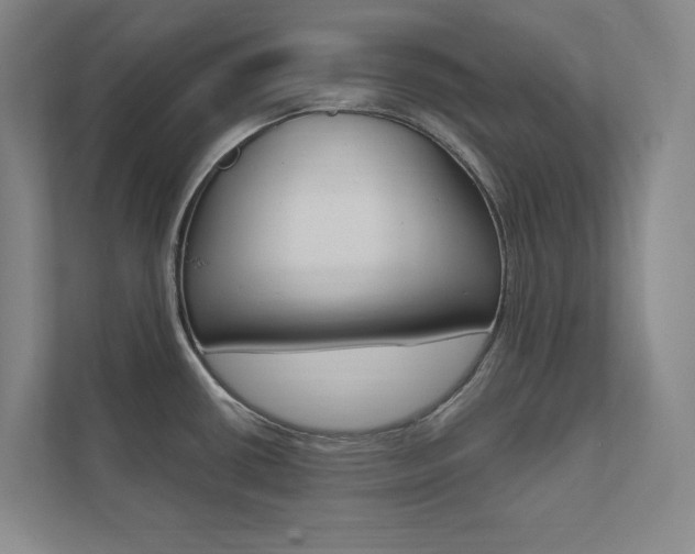 X0000112031434200908031013
