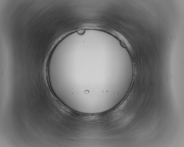 X0000112031435200908031013