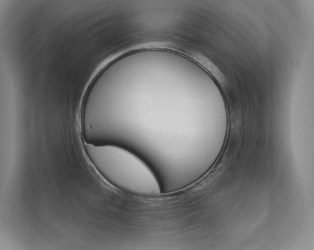 X0000112031436200908031013