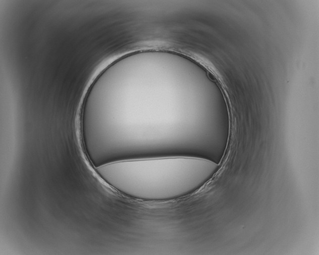 X0000112031440200908031013