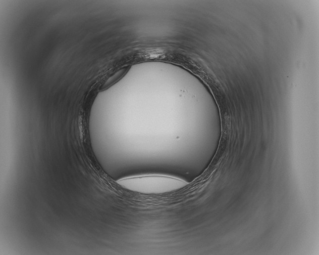 X0000112031442200908031013
