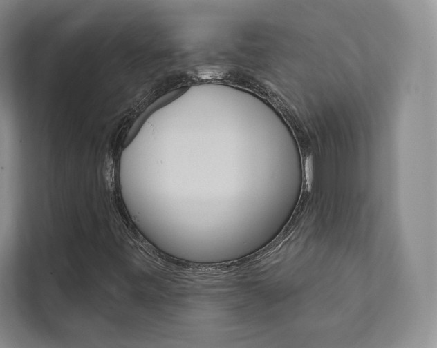 X0000112031443200908031013