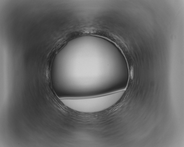 X0000112031444200908031013