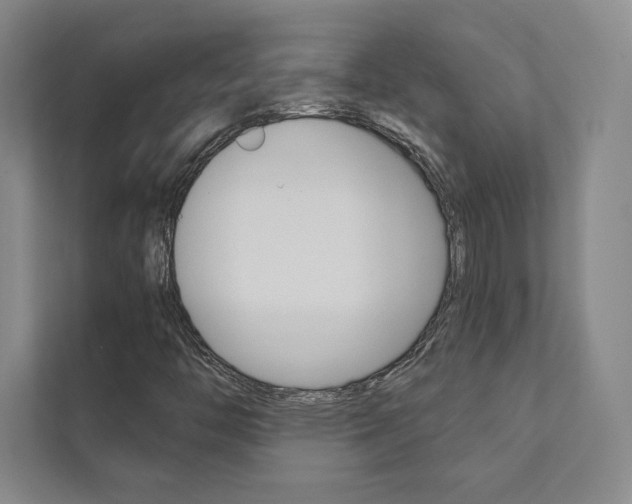 X0000112031446200908031013
