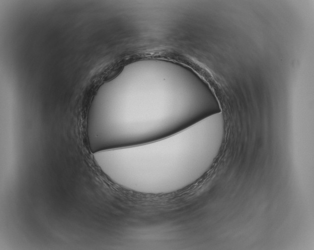 X0000112031447200908031013