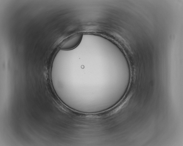 X0000112031449200908031013