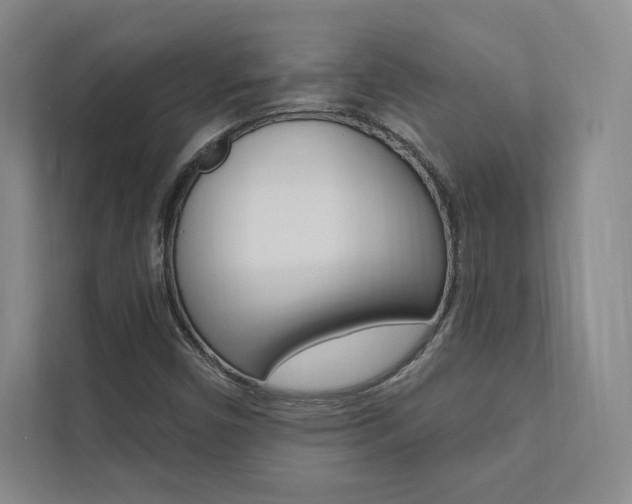 X0000112031450200908031013
