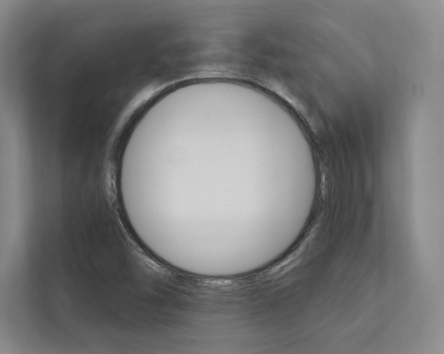 X0000112031454200908031012