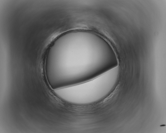X0000112031455200908031012