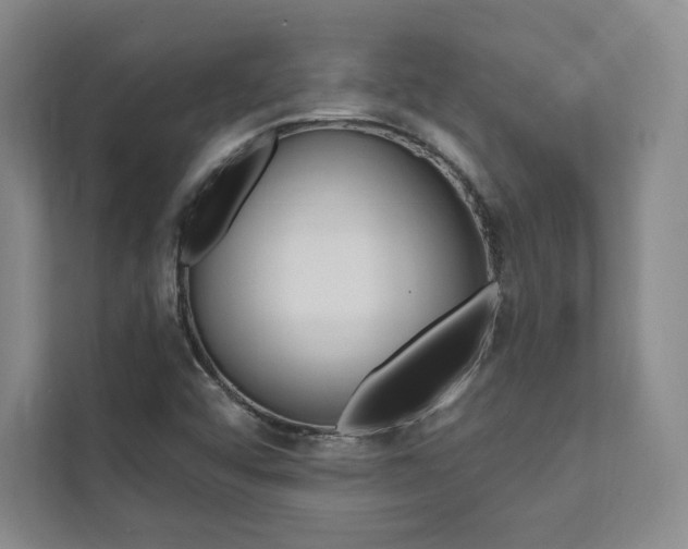 X0000112031456200908031012