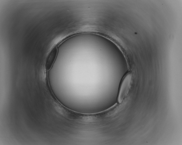 X0000112031461200908031012