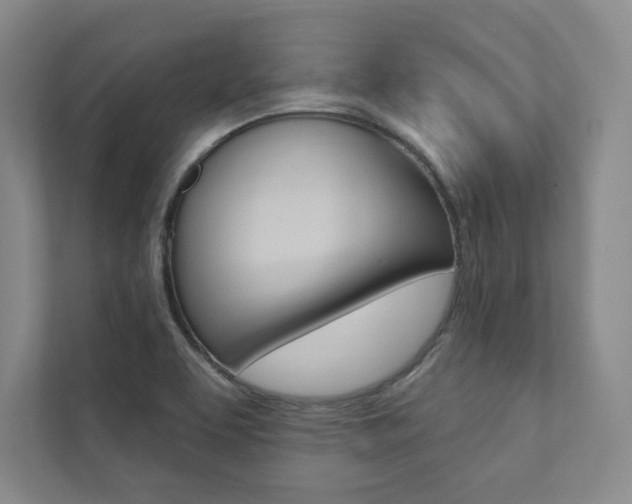 X0000112031463200908031012