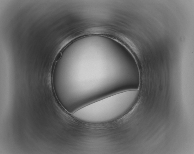 X0000112031465200908031012