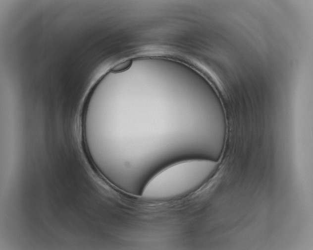 X0000112031467200908031012