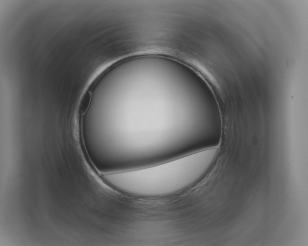 X0000112031468200908031012