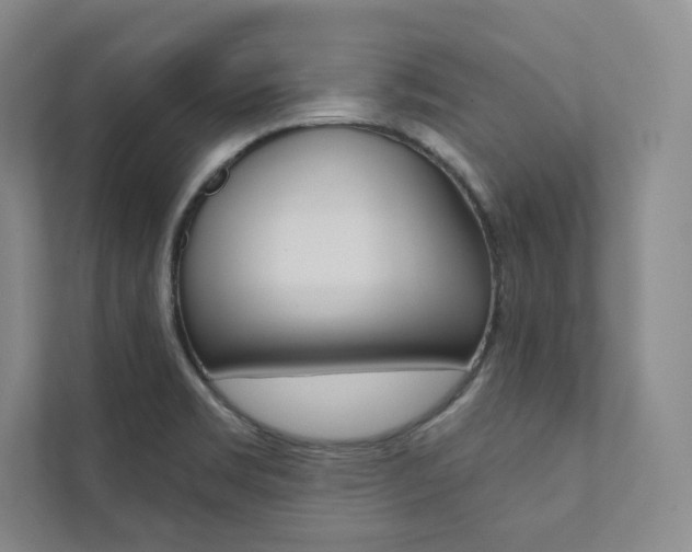X0000112031469200908031012