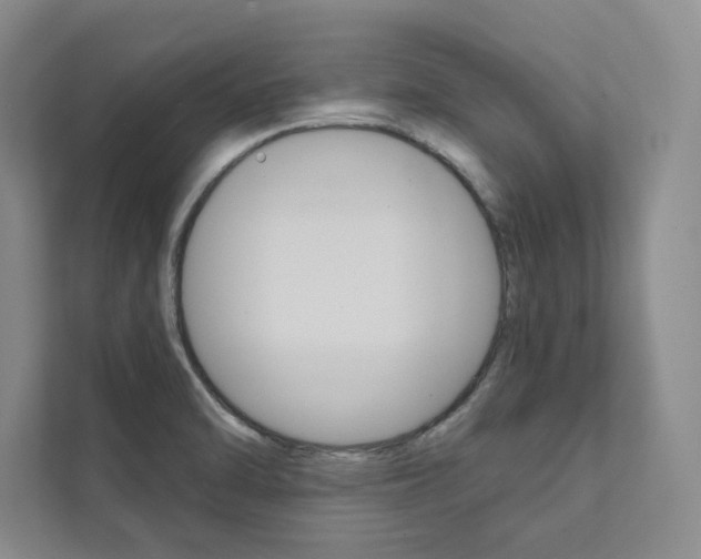 X0000112031470200908031012