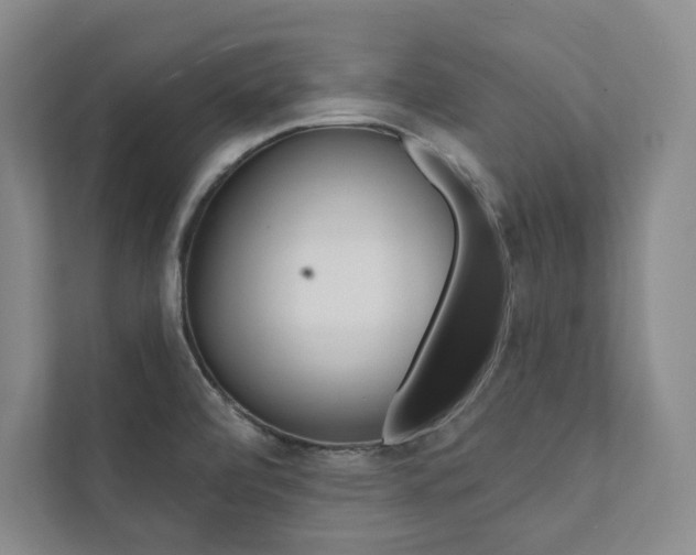 X0000112031472200908031012
