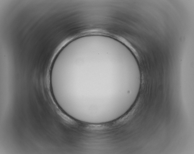 X0000112031474200908031012