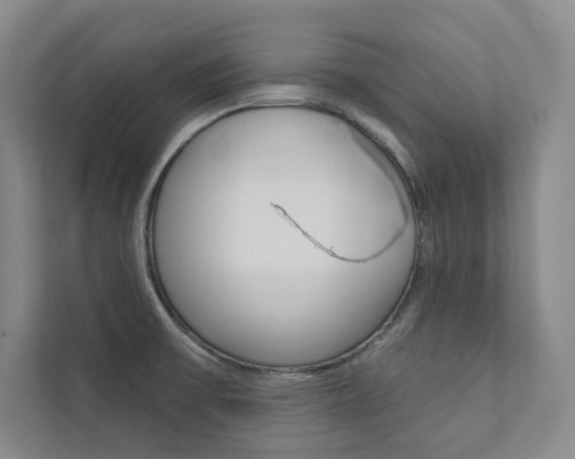 X0000112031475200908031012