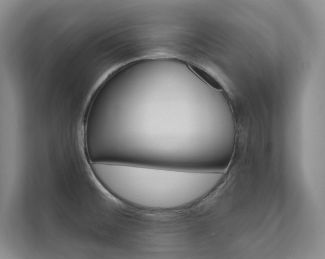 X0000112031476200908031012