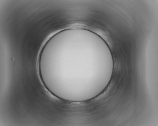 X0000112031478200908031012